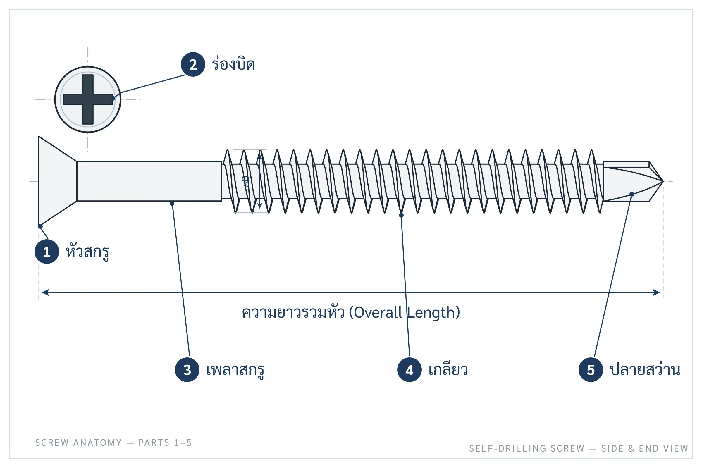 แผนภาพส่วนประกอบของสกรูเจาะเอง แสดงหัวสกรู ร่องบิด เพลา เกลียว และปลายสว่าน